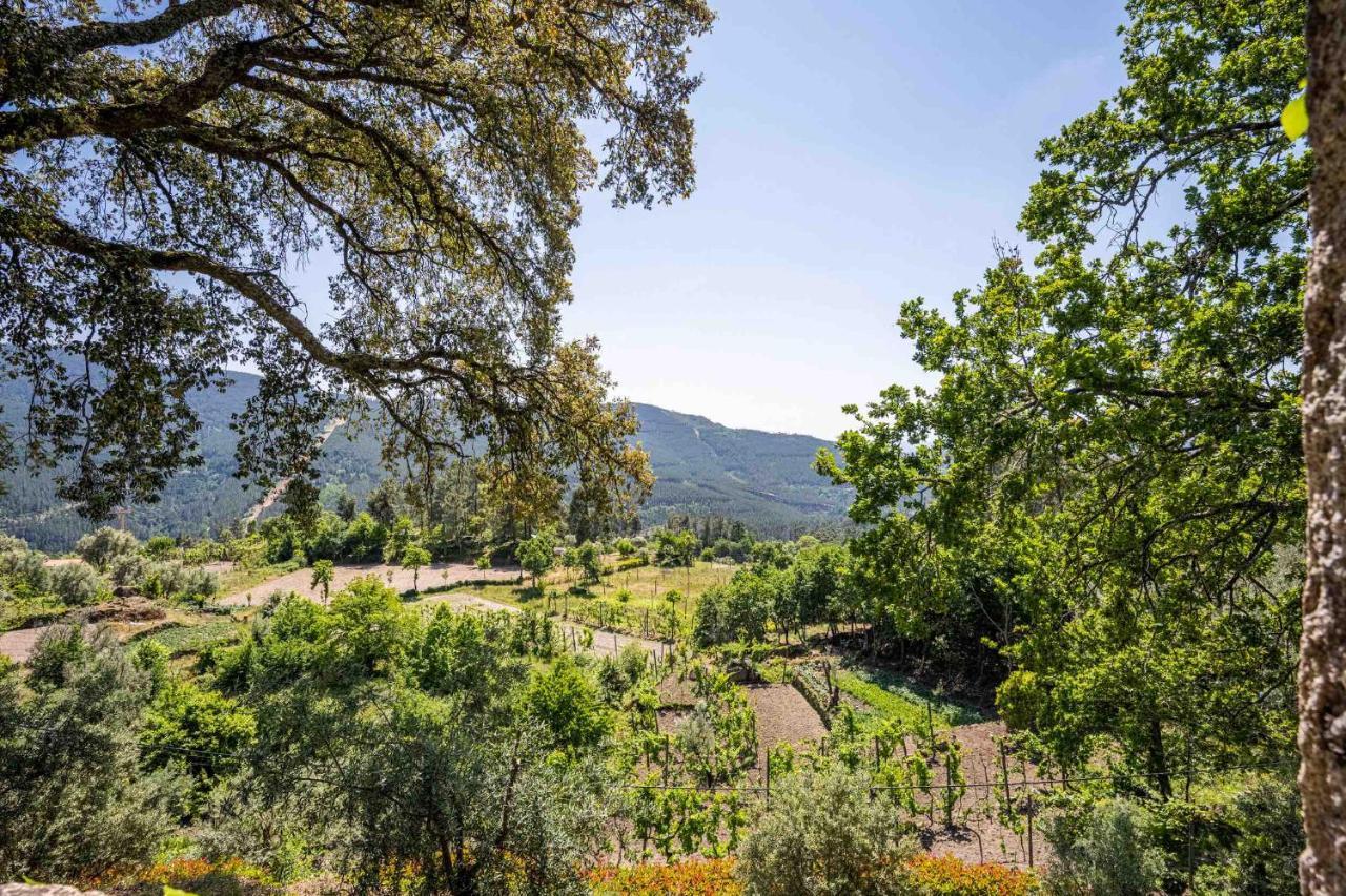 Quinta Da Baldieira มงดิง ดิ บาชตู ภายนอก รูปภาพ