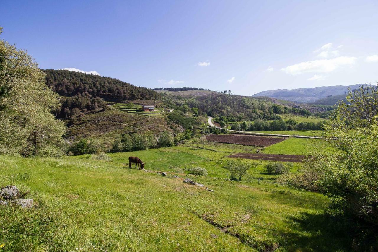 Quinta Da Baldieira มงดิง ดิ บาชตู ภายนอก รูปภาพ